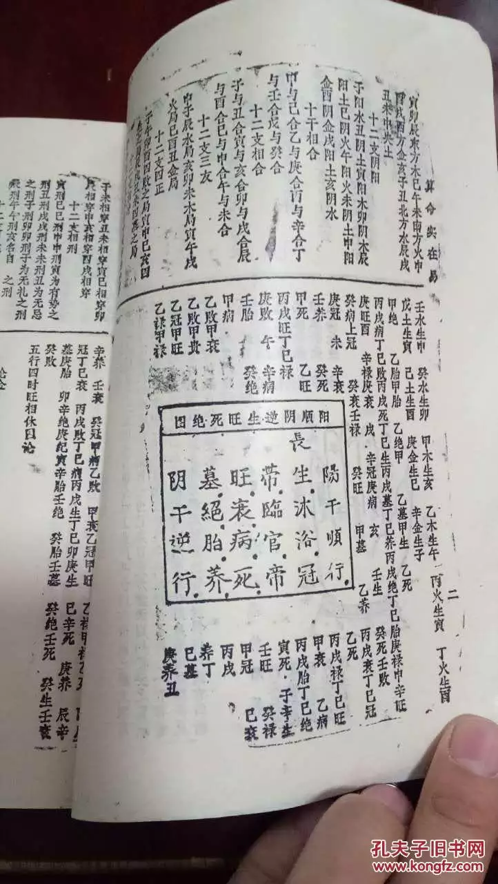 3、免费算命命里有几个儿女:算命一生有几个孩子