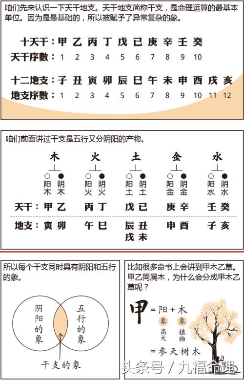 1、八字命理学基础知识:如何学习八字命理？