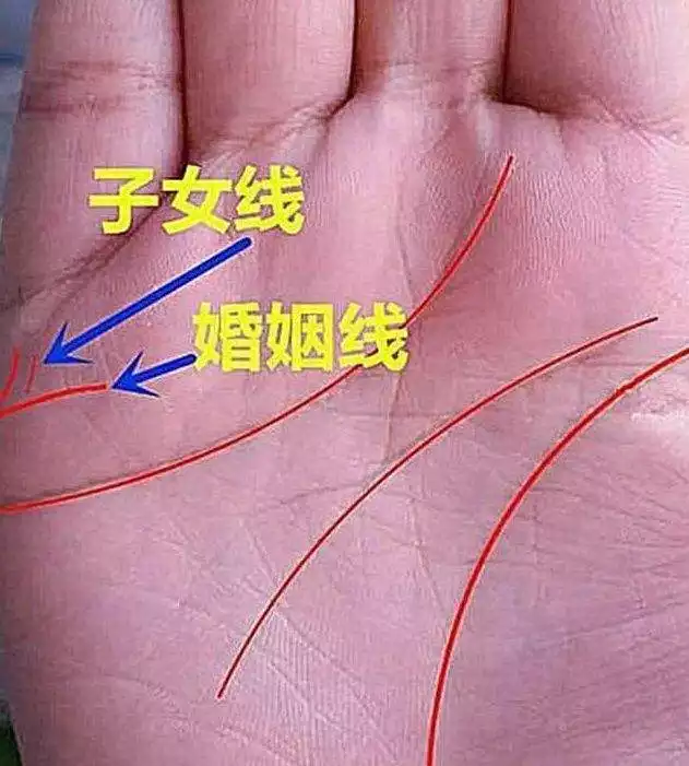 7、算命里有几个儿女免费:算命的看掌纹一生中有几个孩子看得准吗？