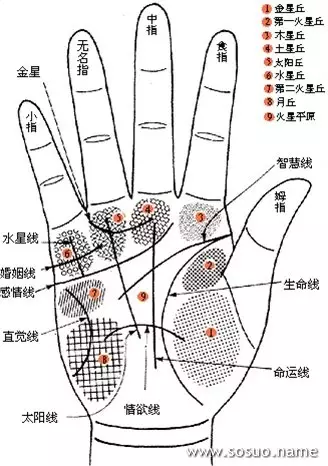 3、扫一扫测手相算命:谁会看手相，看看我的