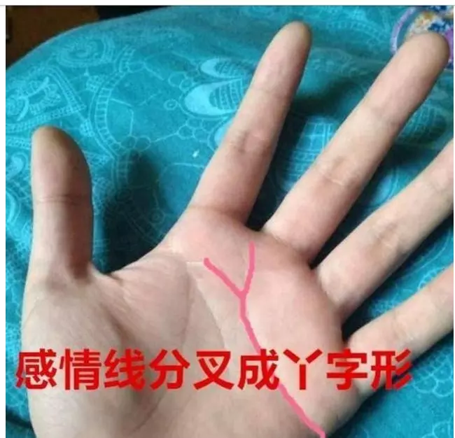 1、女的手相怎么看婚姻线:如何看手相的离婚线