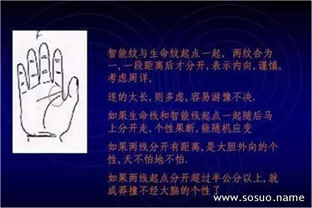 5、滔算命网:滔算命网