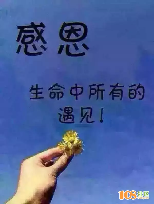 3、命中注定的缘分:真的会有命中注定的缘分吗