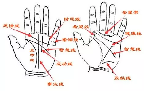 2、婚姻线是哪条:手上怎样分辨哪一条是姻缘线