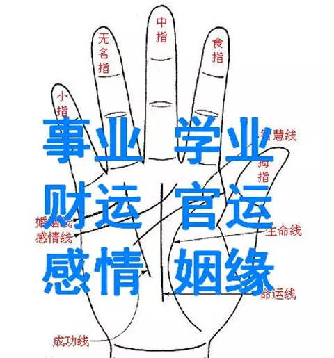 6、财运婚姻测算:测算八字 看婚姻和财运