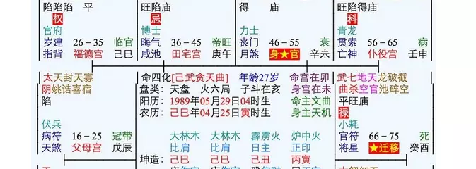 10、个人命盘详解(免费版):免费命盘详解