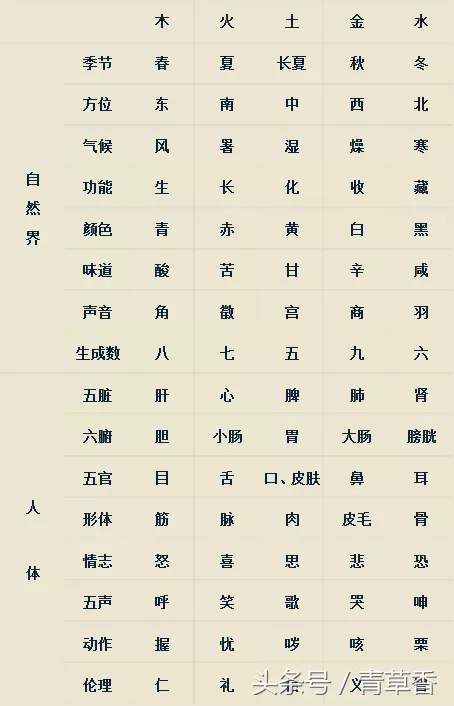 5、怎样看十神解读八字:怎样看八字十神