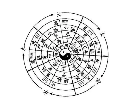 1、四柱八字来后如何看:请问四柱八字排盘怎么看