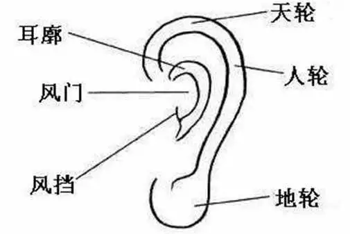 6、78年天上火命人的贵人:八字中最厉害的贵人