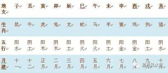 4、怎样查农历每日属相:如何具体的查看自己的生肖属相？