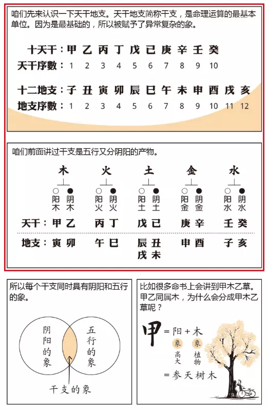 4、学算命怎么入门:算命怎么学