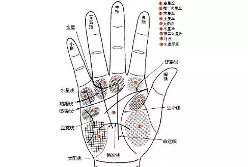 1、查一下我今年的财运怎么样:我的 财运如何