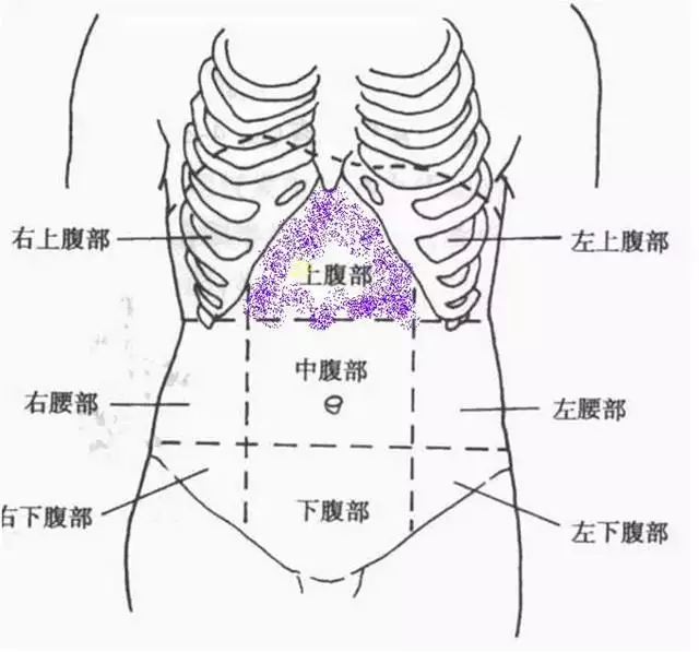 2、硬了一会就是什么原因:硬了一会就什么症状