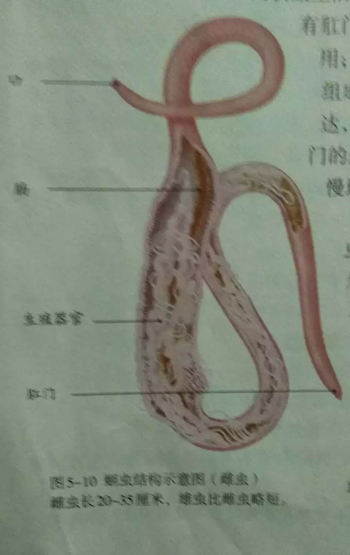 6、性功能太强是好还是坏:男人强，是好事还是坏事，为什么有的男人强？