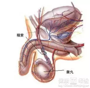 3、男人一般多久才算正常:男人一般坚持多长时间算正常