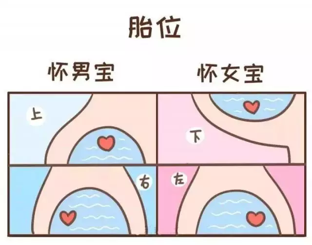 2、有什么妙招怀上男孩:怀男孩的方法有什么呢？