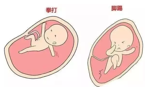 2、成功怀男孩的细节经验:生儿子的经验是什么？