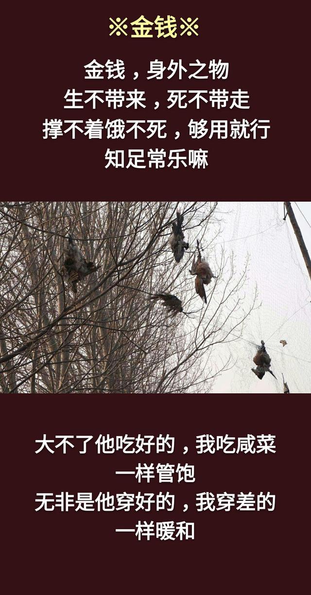 1、命运是注定的吗:命运是天注定的吗?