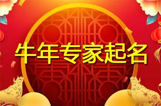 4、为什么牛年不要孩子:老公为什么不想要孩子