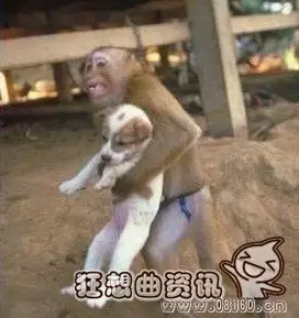 2、狗和什么猴子属相最配:猴和狗的属相合不合