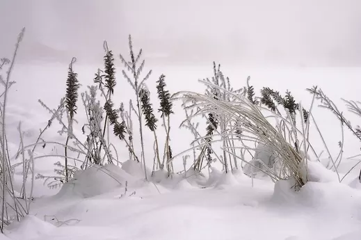 4、结婚日子下雪好吗:结婚当天下雪是什么兆头