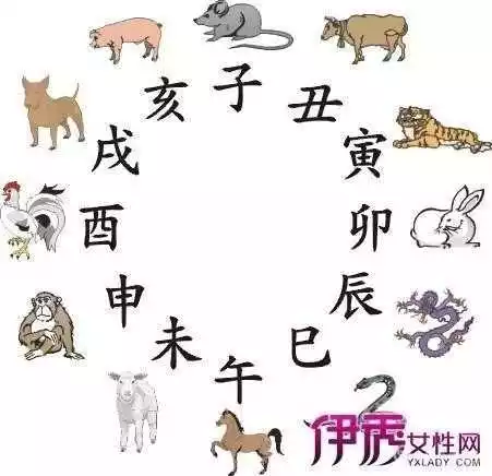 1、12生肖排行榜12生肖排行:十二生肖排名