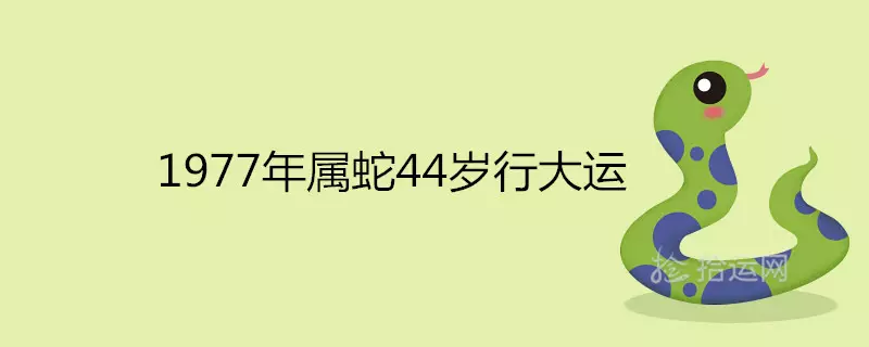 1、年蛇女一生的婚姻:77年属蛇人一生有几个孩子和几段婚姻