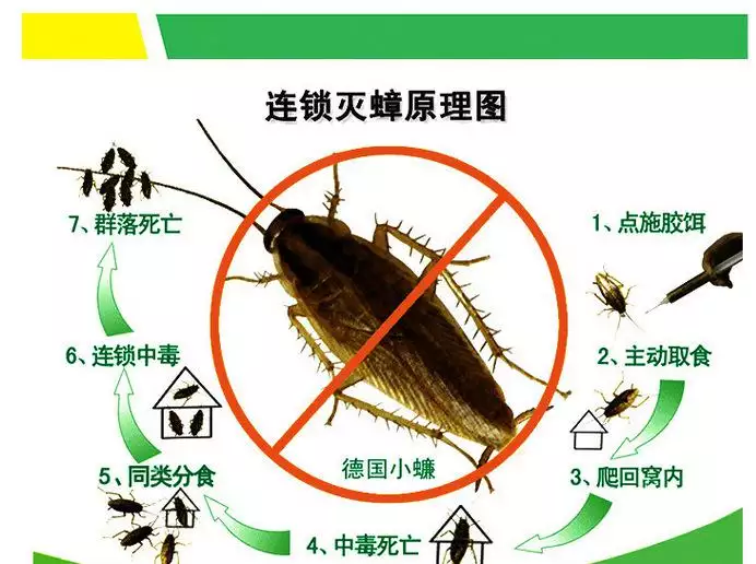 2、四害是哪四害:现在的除四害工作中的四害是指哪四害