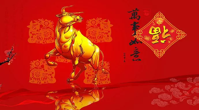 4、属虎的人在牛年的运气怎么样:今年是牛年虎在今年的运势怎么样？