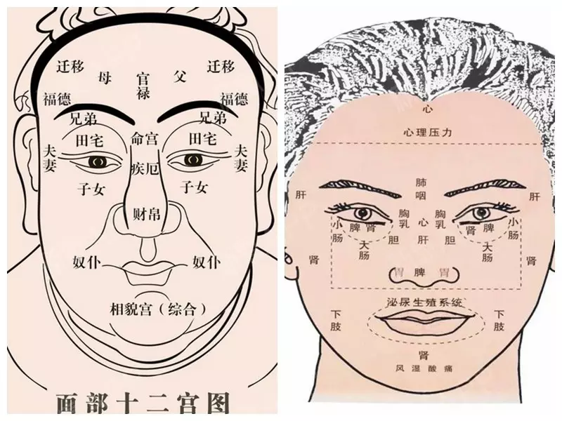 7、婚姻宫动了的预兆:里婚姻宫动是什么意思