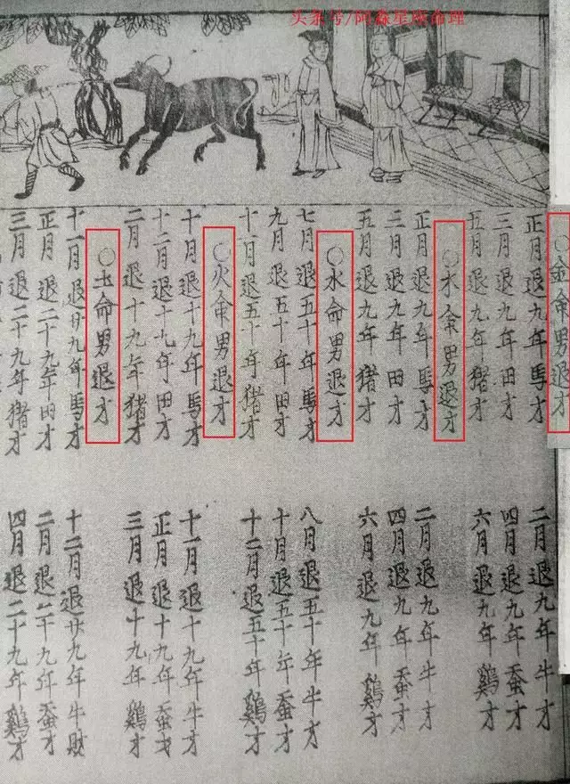 1、女命上等命格:望师傅看看命格，女命？