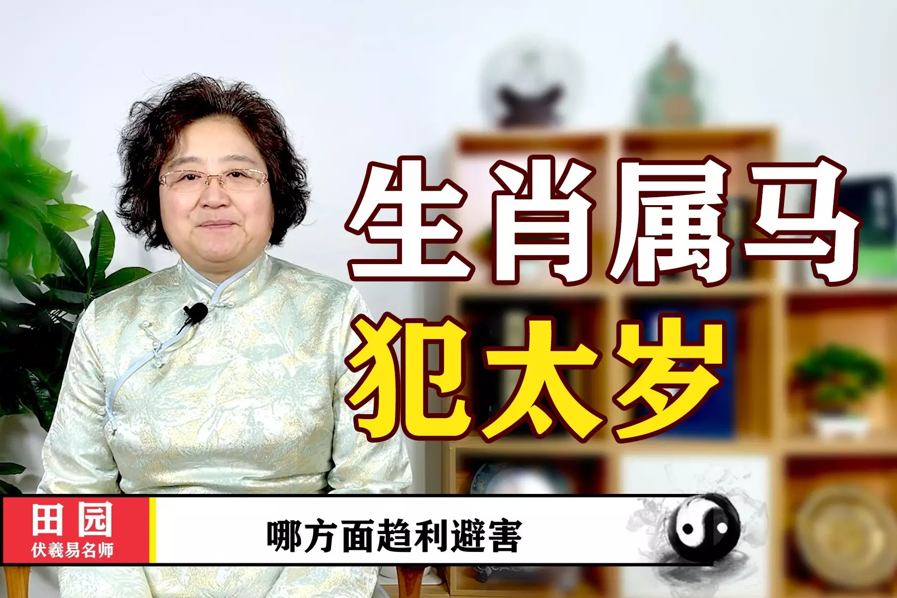 2、属马的年犯离婚:年已婚属马人的感情运势？