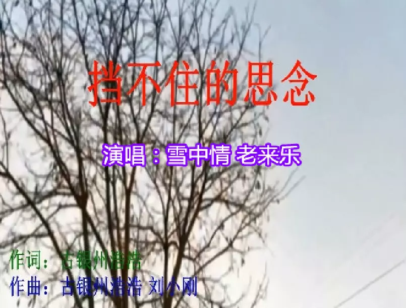 4、挡不住的思念原唱:有一首歌的是:我挡不住思念，我挡不住思念，这首是什么歌？