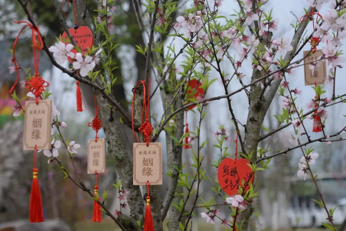 1、姻缘桃花测算:桃花运 预测 婚姻