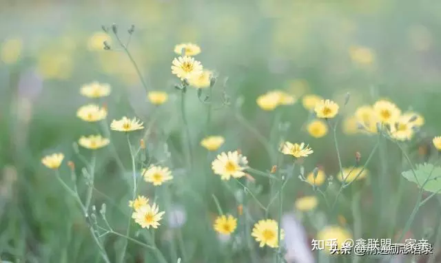 4、缘份让我们相识在抖音之中的说说:“感恩缘分让我们相识……”的相邻词有哪些？