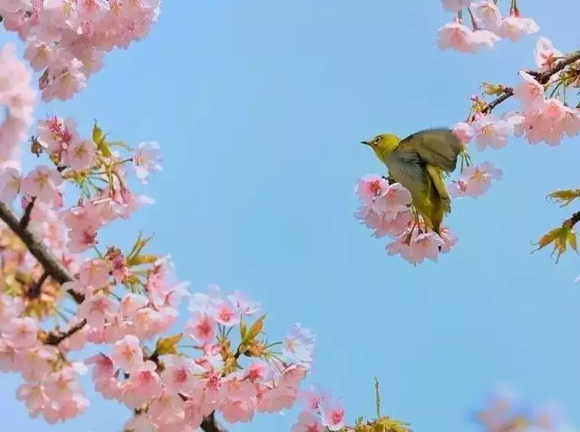 1、有缘再相遇的唯美句子:有关重逢的唯美句子