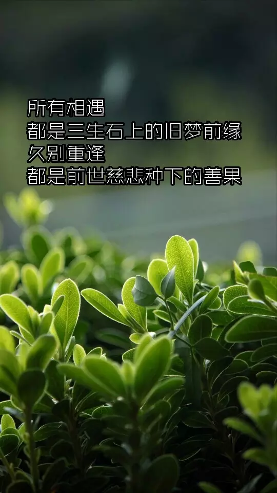 1、缘分到底是不是注定的:缘分真的是命中注定的吗？