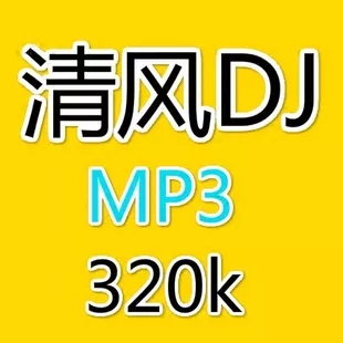 4、下半生dj清风:串烧DJ里有:下半生 爱是一场梦 发现 是什么DJ歌名谢谢