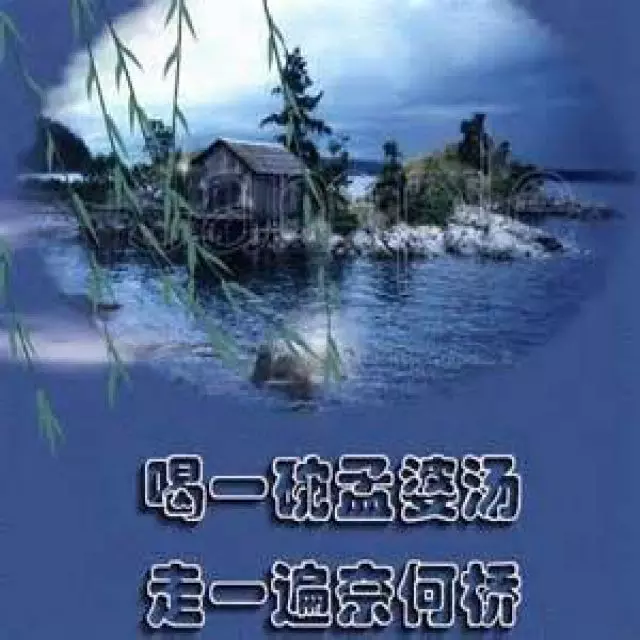 7、歌曲一切随缘原唱:有首歌词里有随缘随缘 是闽南语的