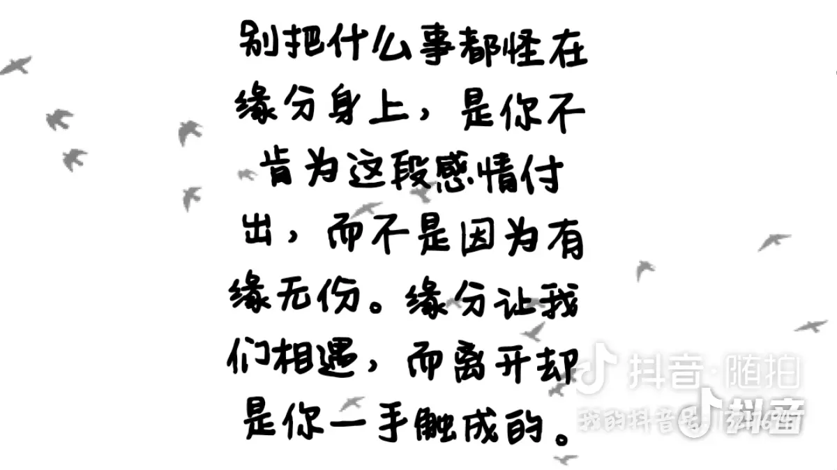 4、缘分让我们相遇是意外下一句:缘分让我遇见你下一句是什么