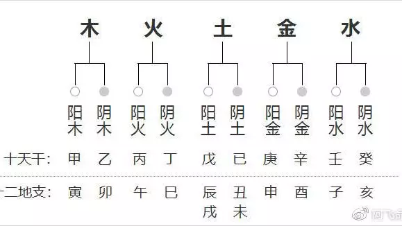 7、怎么测八字:如何测自己的八字属阴还是阳