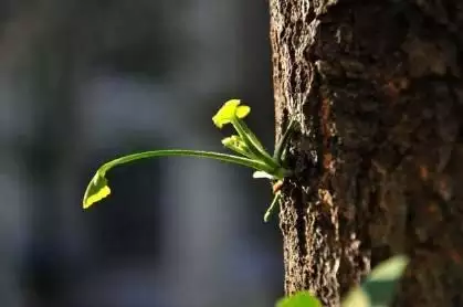 2、心理测试正缘:想要一个心理测试……很准的那种，长一点的！爱情方面的