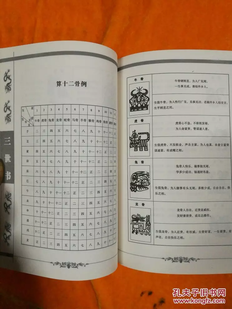 3、我想问下书里面的一个问题，想请专业人员帮我回答！书里面说病有一子 是什么意思