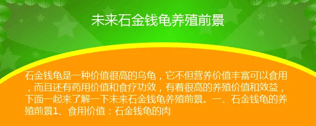 1、年石龟前景:关于石金钱龟的生活习惯