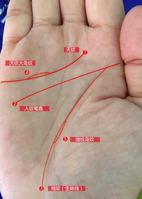 5、姻缘线断了是什么意思:感情线和头脑线都断是什么意思？