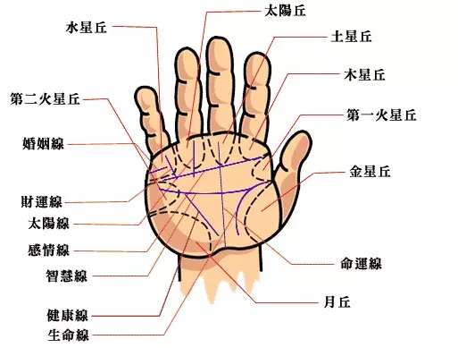 6、扫一扫测手相算命:手相扫一扫测试法