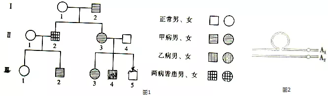 1、伴x隐性遗传的所有婚配图解:伴性隐性遗传