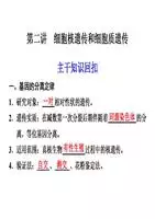 4、群体内随机婚配改变基因频率吗:基因频率