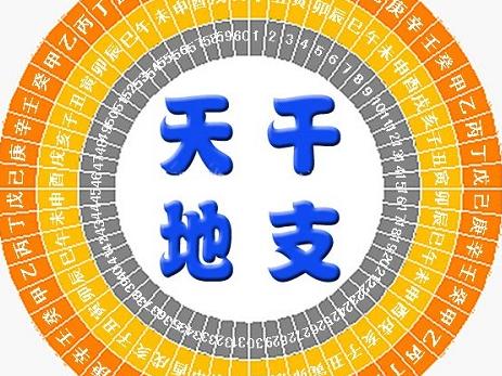 5、婚配看天干还是看地支:八字的日坐是天干还是地支