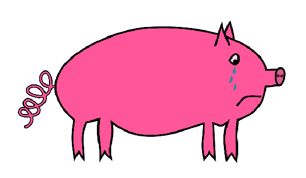 3、男猪和女猪婚配:属猪的人婚配属猪的人命运如何
